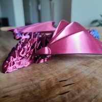 Silver Dragon-2