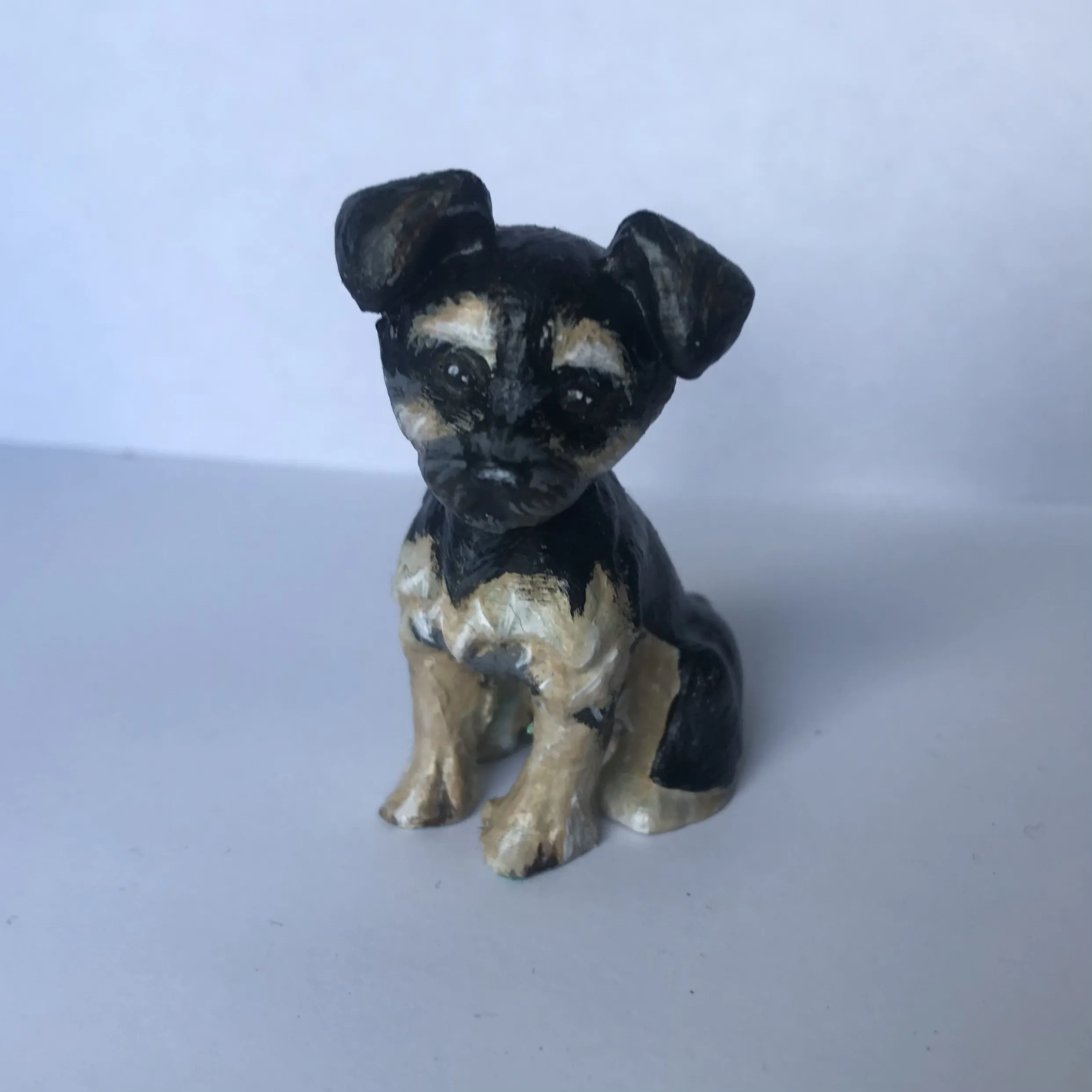 Yorkshire Terrier-1