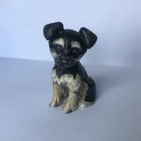 Yorkshire Terrier-1