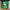 yoshi