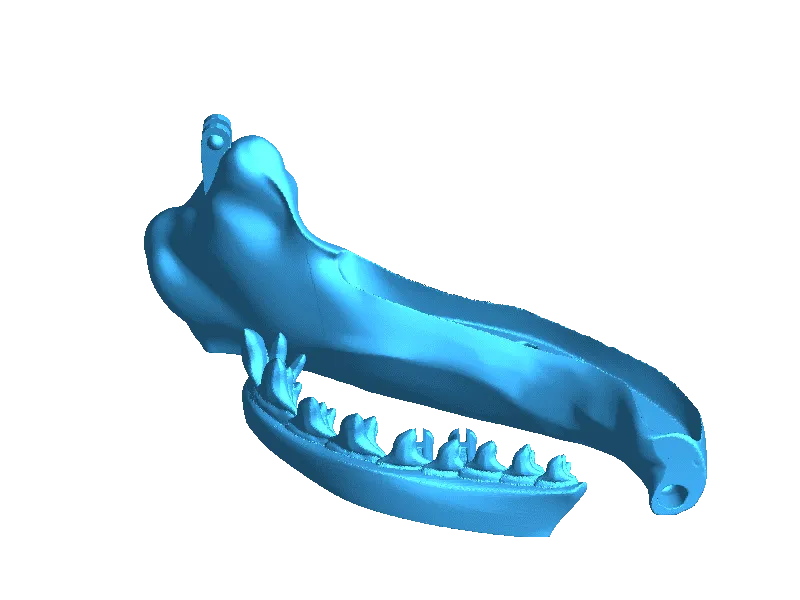 hammerhead pt 8
