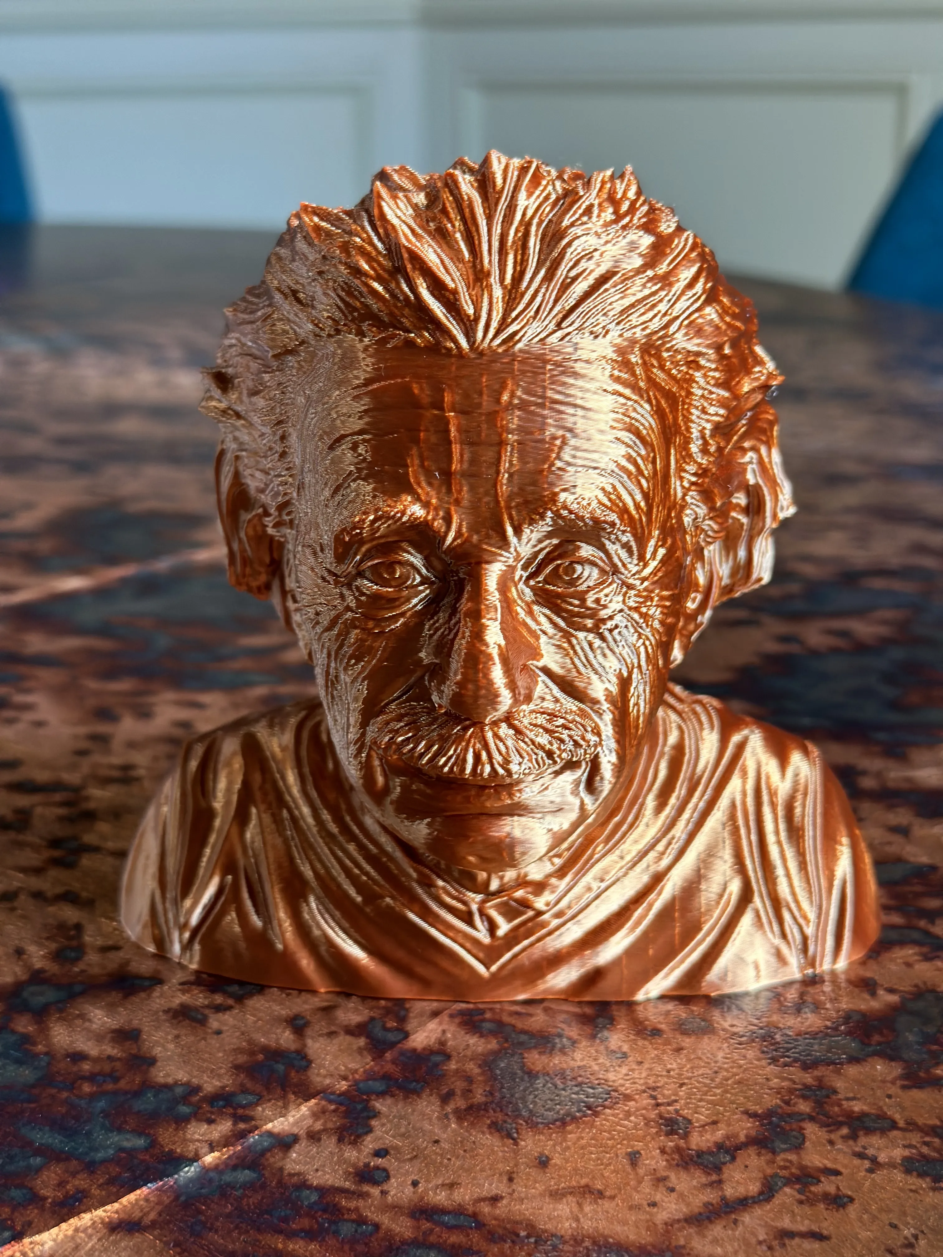 Albert Einstein Support Free-0