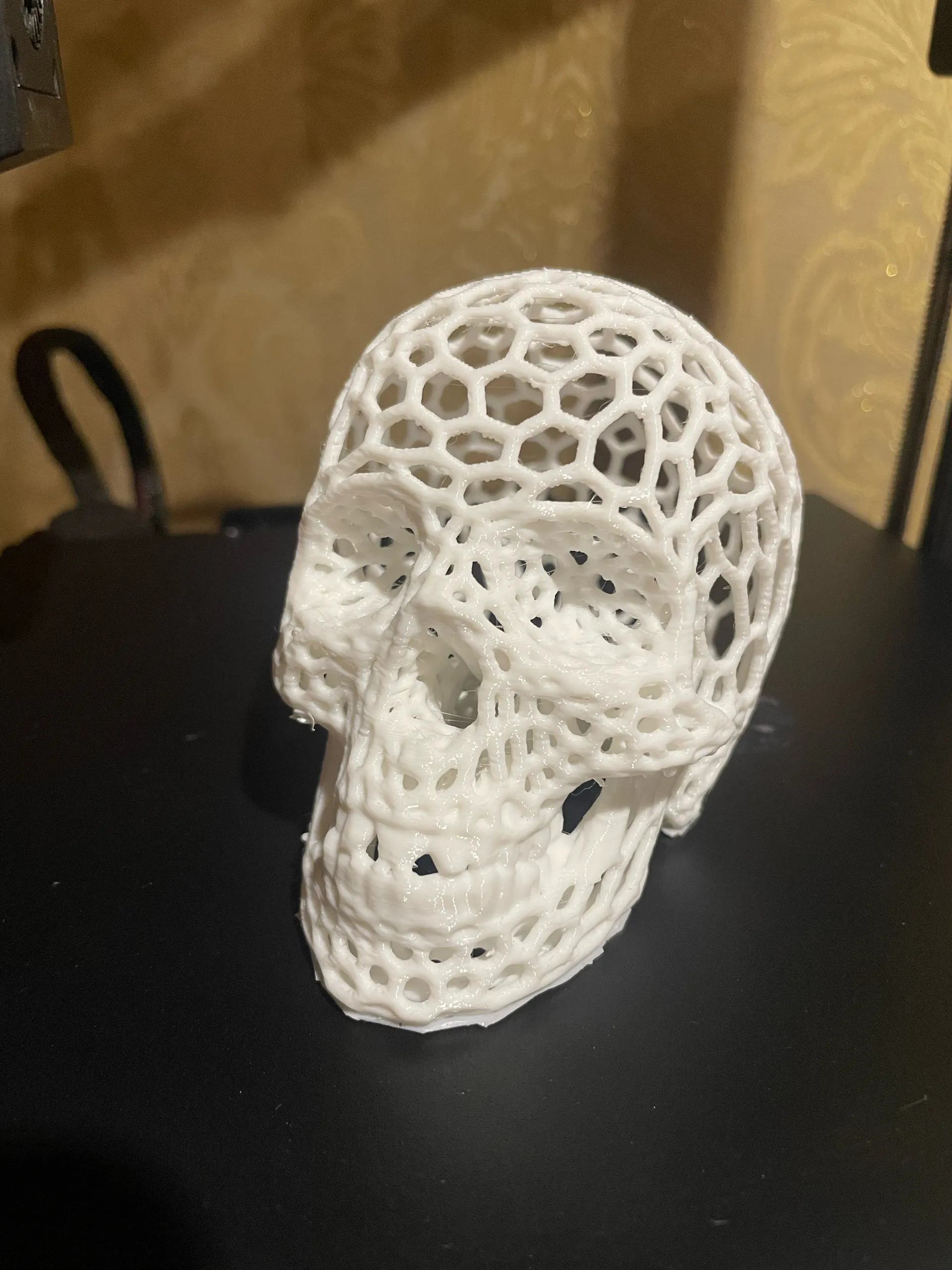 Voronoi-style Skull with no supports-2