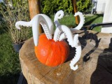 Oktopus arm-2