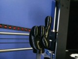 Pointing finger-0