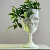 SCULL GOBLET - PRINT IN PLACE-0