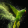 avatar of ZetU83