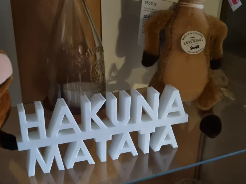 hakuna matata from lion King 