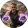 avatar of CADDADDY