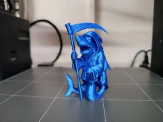 Shark death