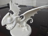storm fly-1