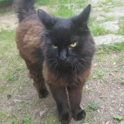 avatar of filapila