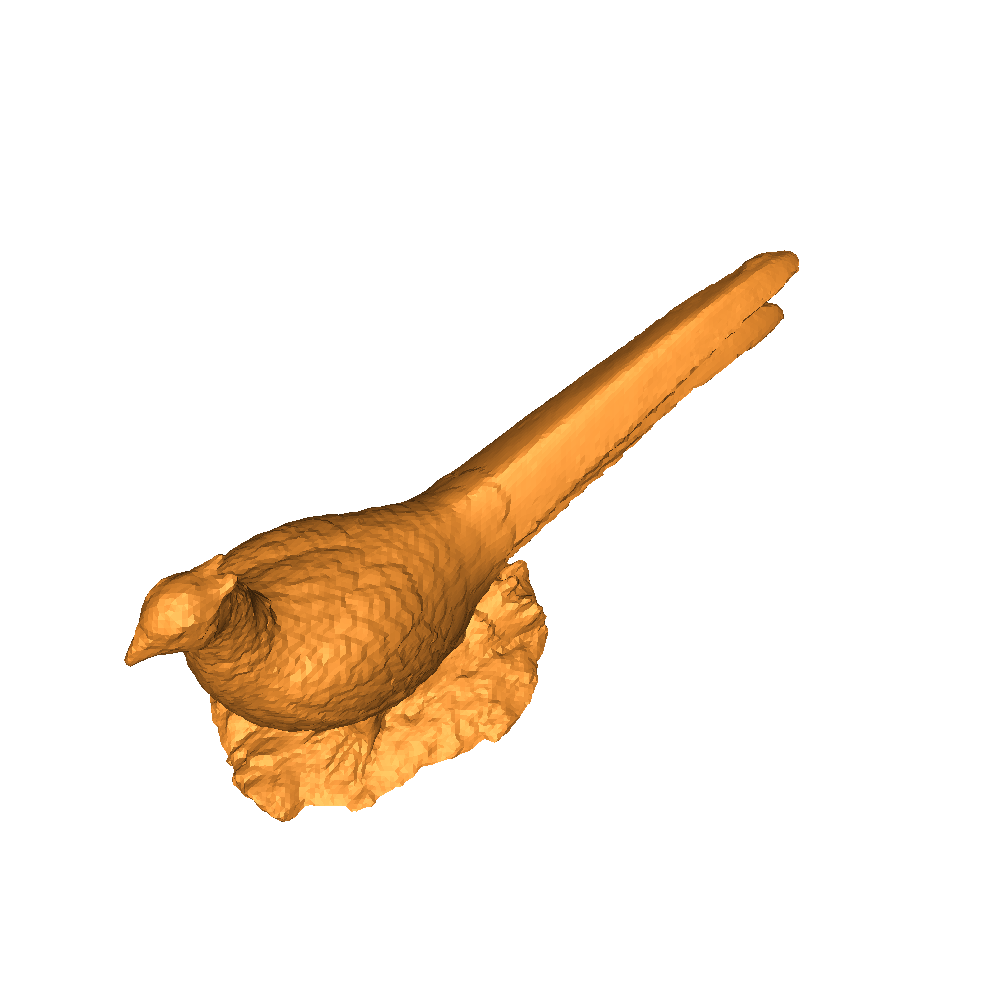 pheasant 