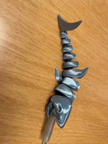 Shark-0