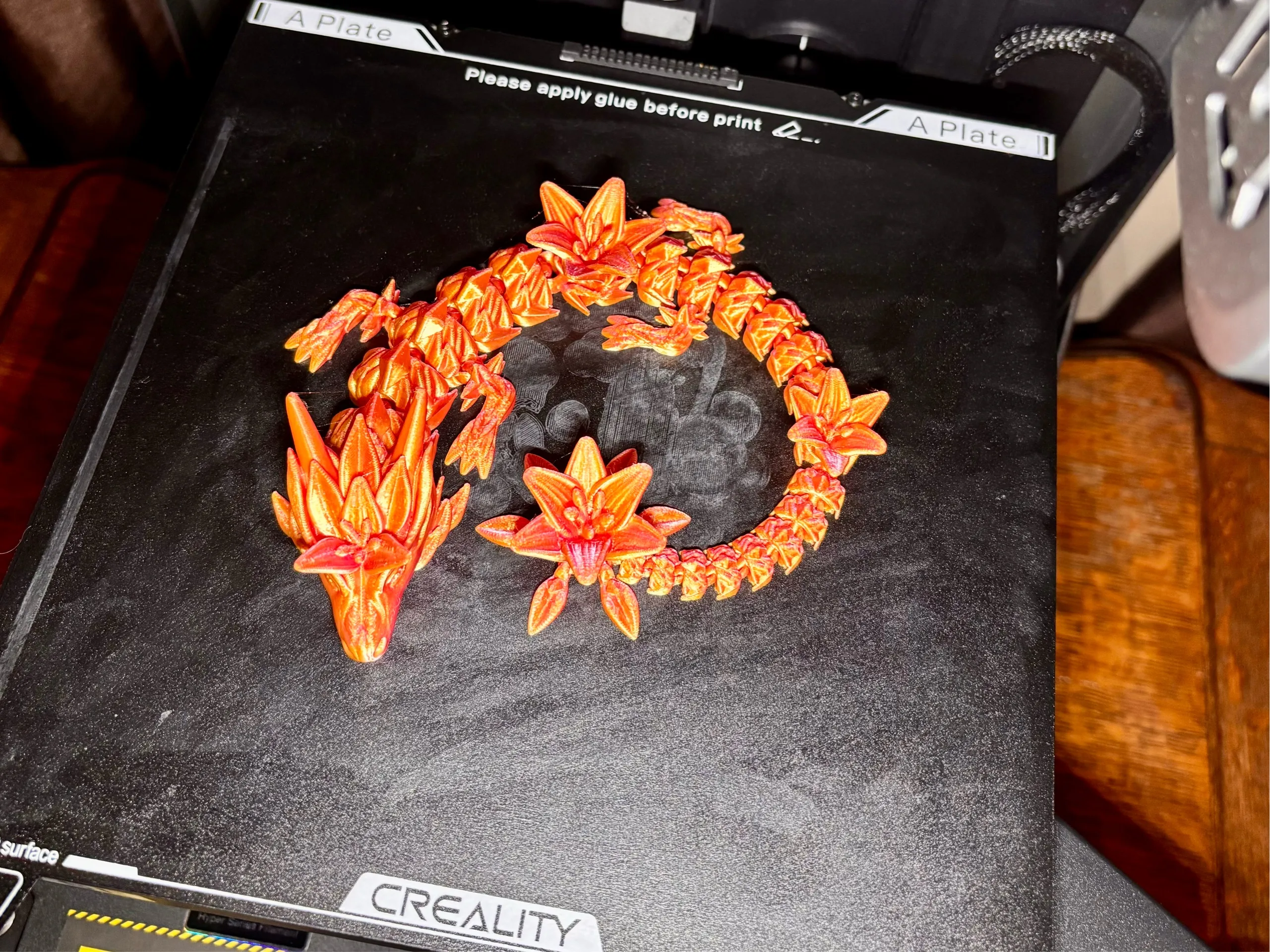 Lily Dragon-2