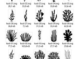2D profiles Seaweed aquarium-2