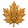 avatar of Canadian