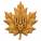 avatar of Canadian
