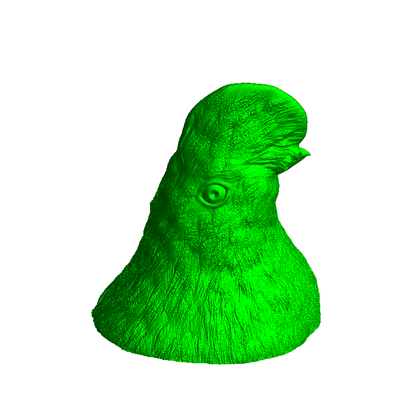 RUPICOLA PERUVIANUS.