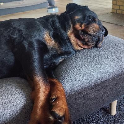 avatar of Mike_Jensen