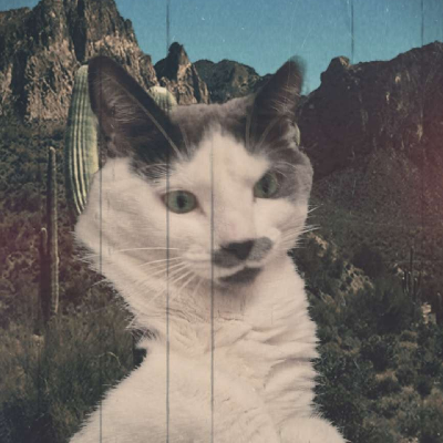 avatar of Mickael99