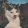 avatar of Mickael99
