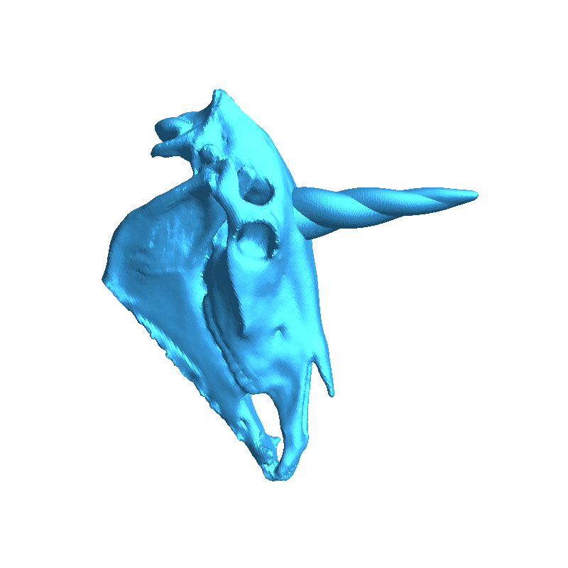 Skull unicorn