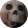 avatar of user1973139135