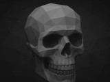 Skull-1