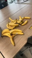 MakersLabGang