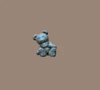 Yorkshire Terrier-5