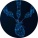 avatar of EngineeringDragon