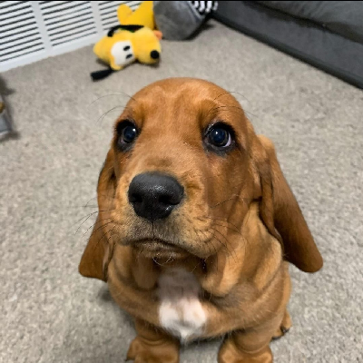 avatar of ih8punkrok