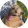 avatar of Kryzio