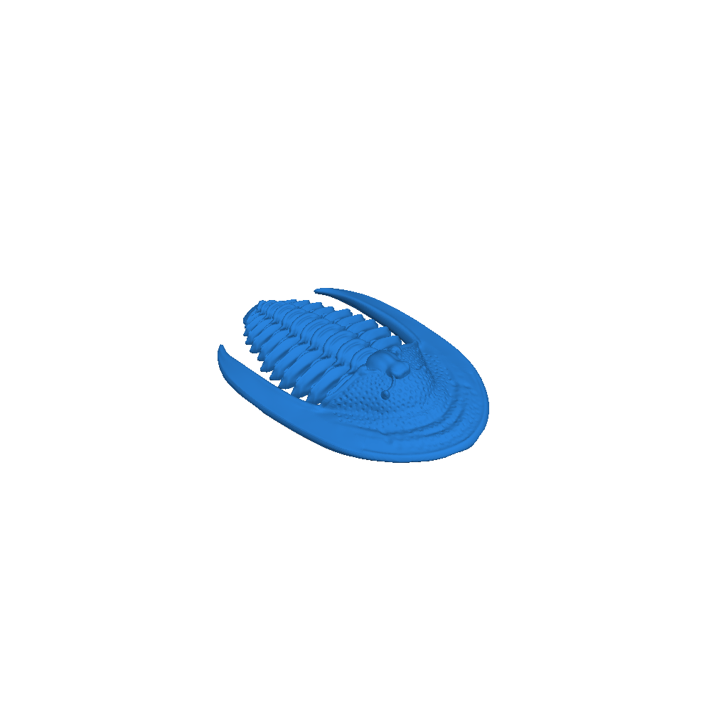Trilobite 