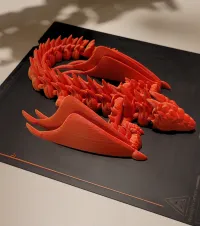 Silver Dragon-2