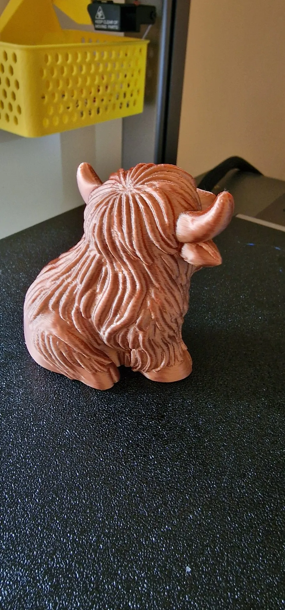 Chonky Highland Cow – Shaggy Horned Cutie-1