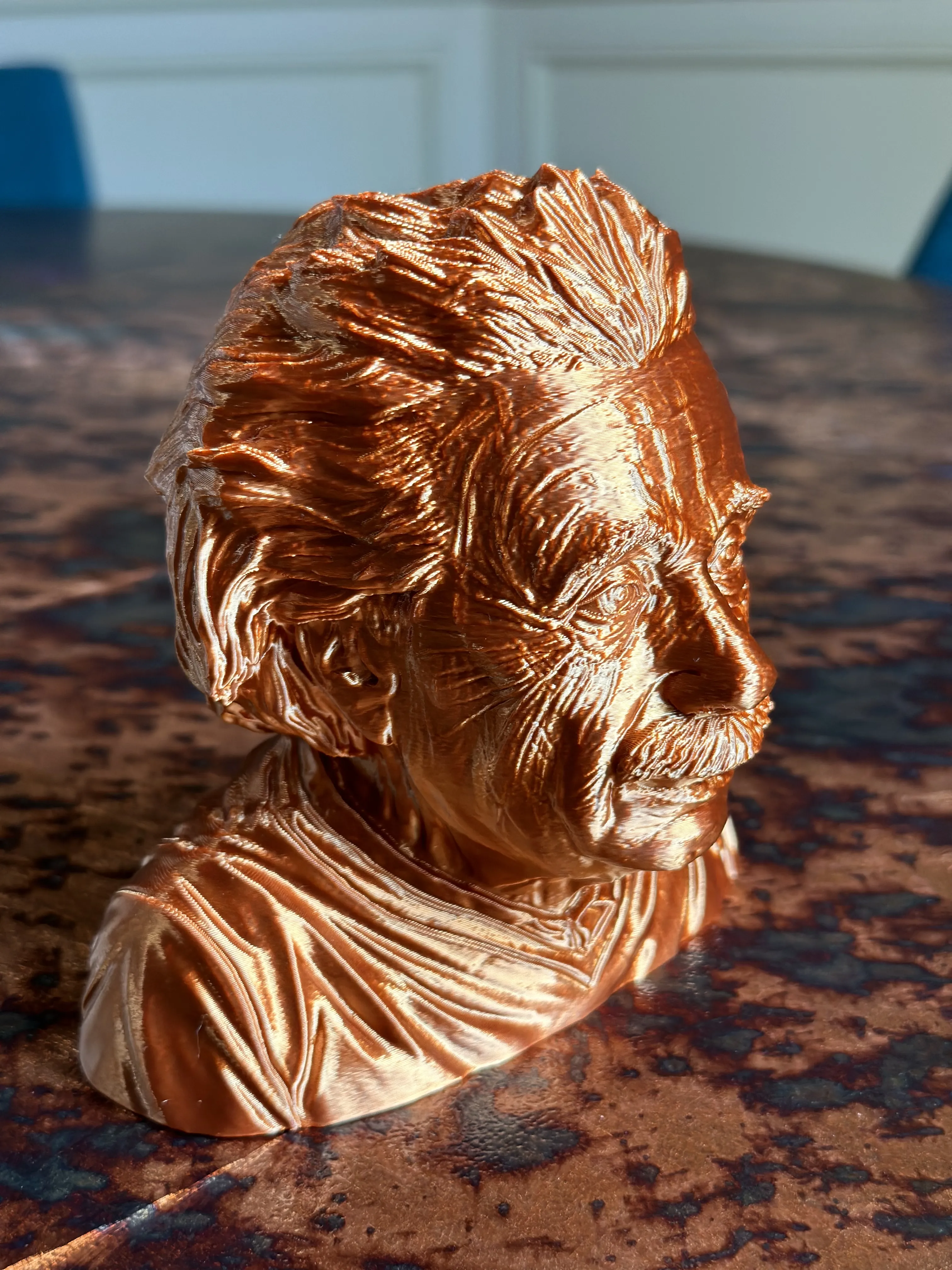 Albert Einstein Support Free-1