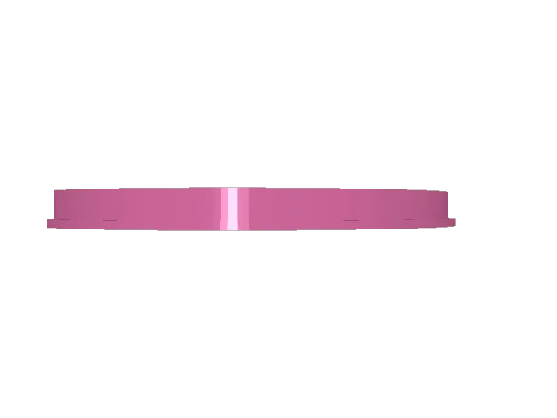 plastron