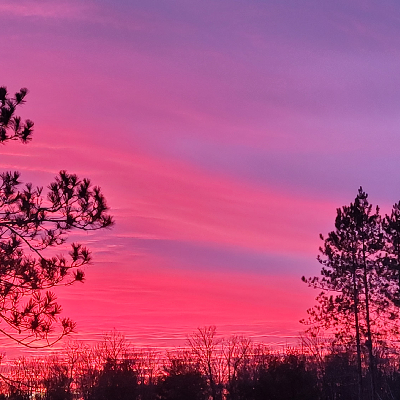 avatar of JarvisPrintsuits