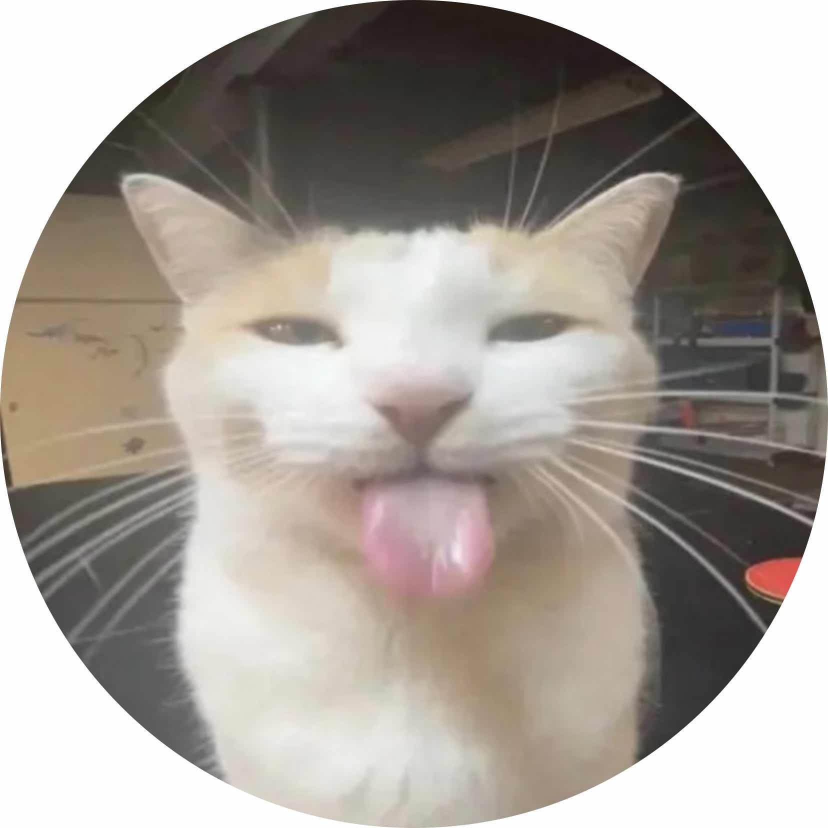 avatar of ninib