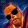 avatar of Edward Duddy