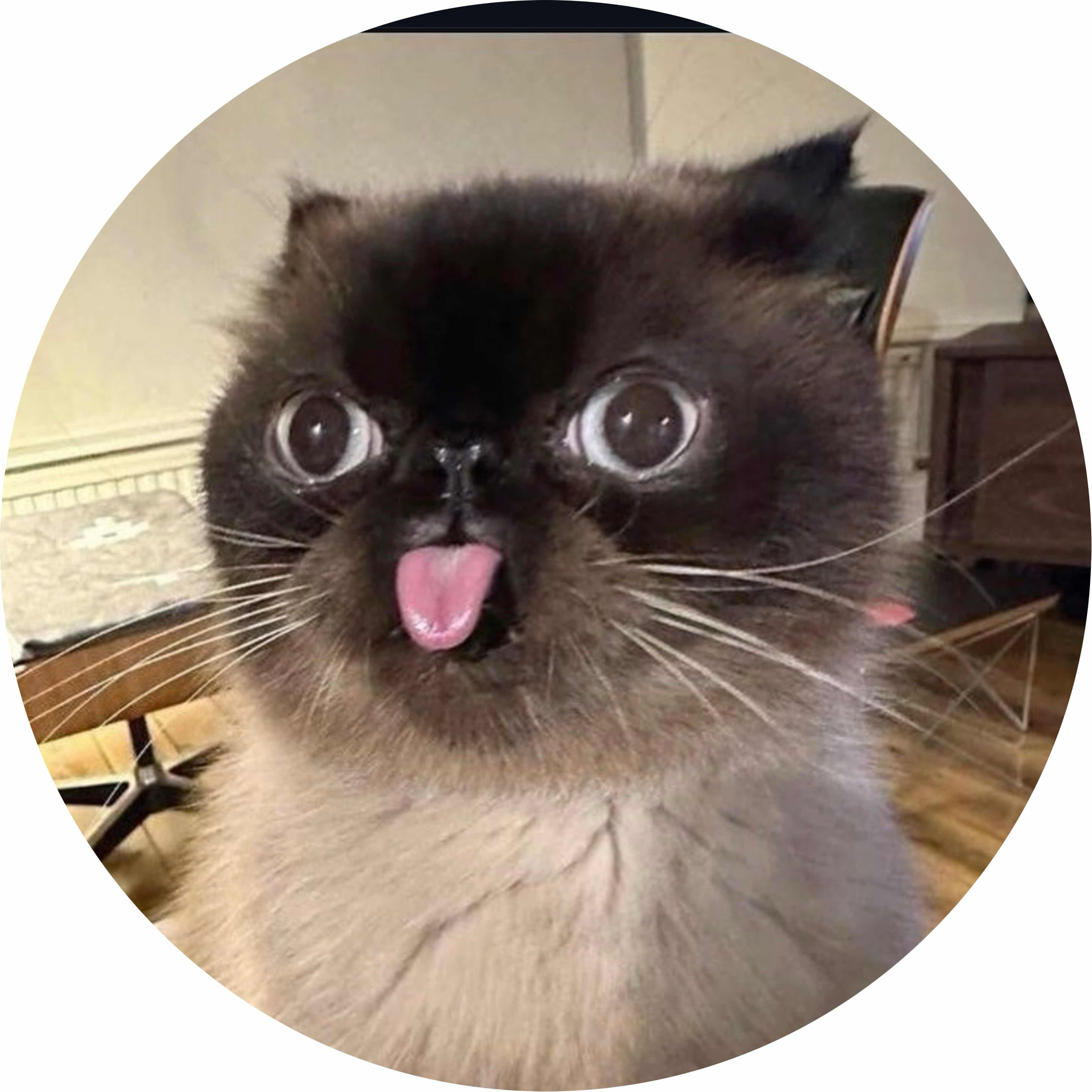 avatar of Boo96