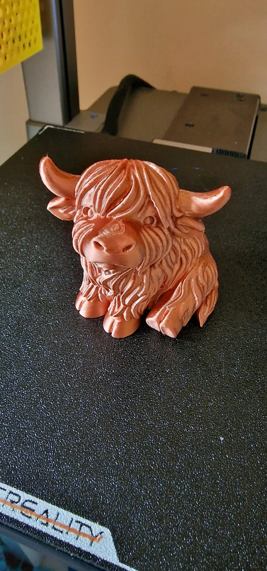 Chonky Highland Cow – Shaggy Horned Cutie-4