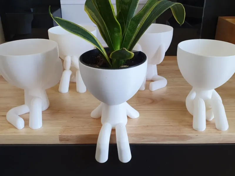 Hydroponic, Self-Watering, Seeds starter, Robert Planters
