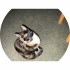 avatar of Point_erner_xan12
