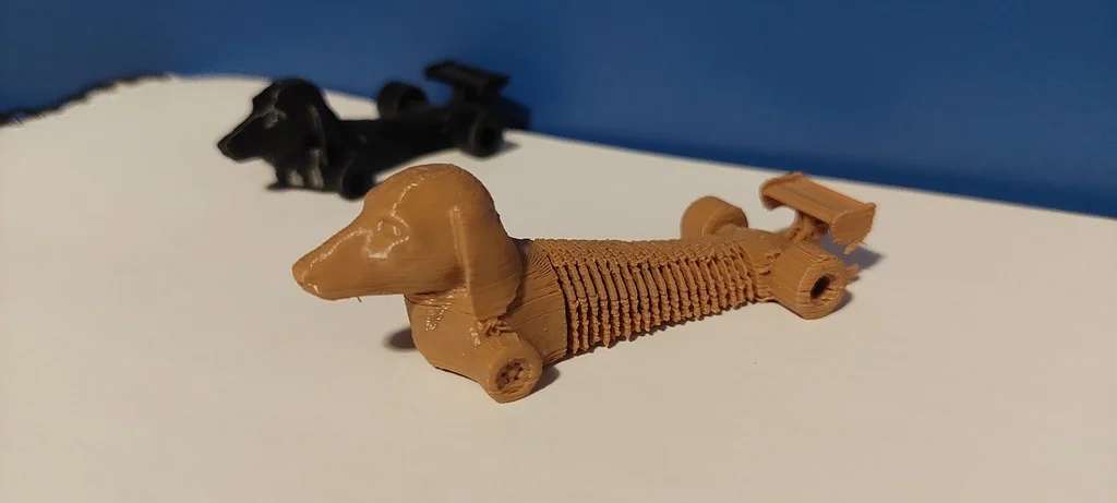 Dachshund F1 FLEXI