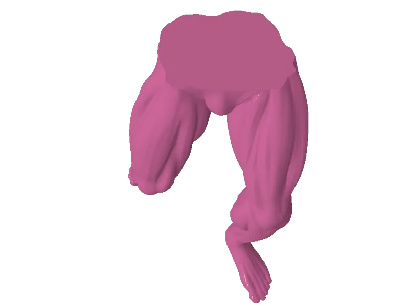 perna