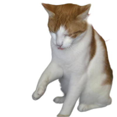 avatar of funnykitty