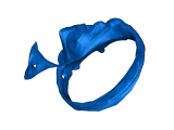 ring-turtle3dscan-0